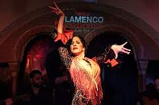Andalusischer Abend mit Abendessen und Flamenco