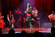 Pure Flamenco Shows in Barcelona