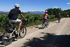 Full-Day Guided E-Bike Wine Tour with Brunch