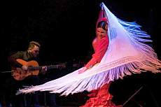 Flamenco show in the Town Hall Theater